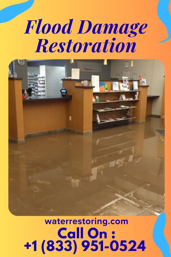 Flood Damage Restoration in Federal Dam, MN