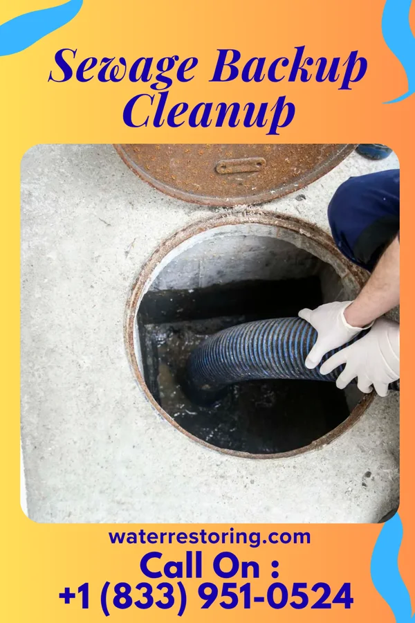 Sewage Backup Cleanup in Federal Dam, MN