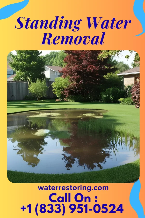 Standing Water Removal in Federal Dam, MN